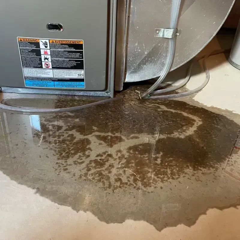 Appliance Leak Cleanup in Strum, WI